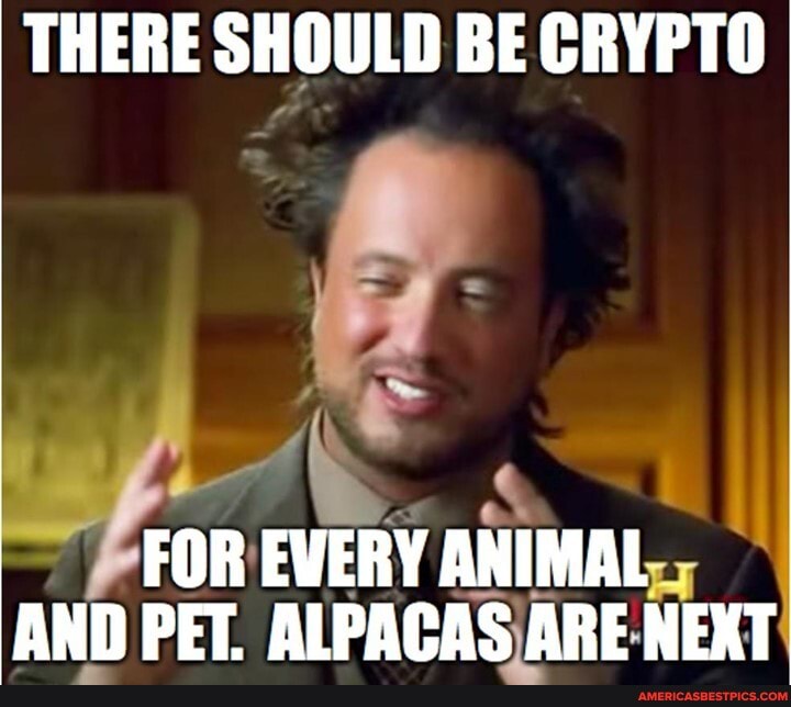 THERE SHOULD BE CRYPTO
SS
FOR EVERY ANIMAL AND PET. ALPACAS ARE NEXT