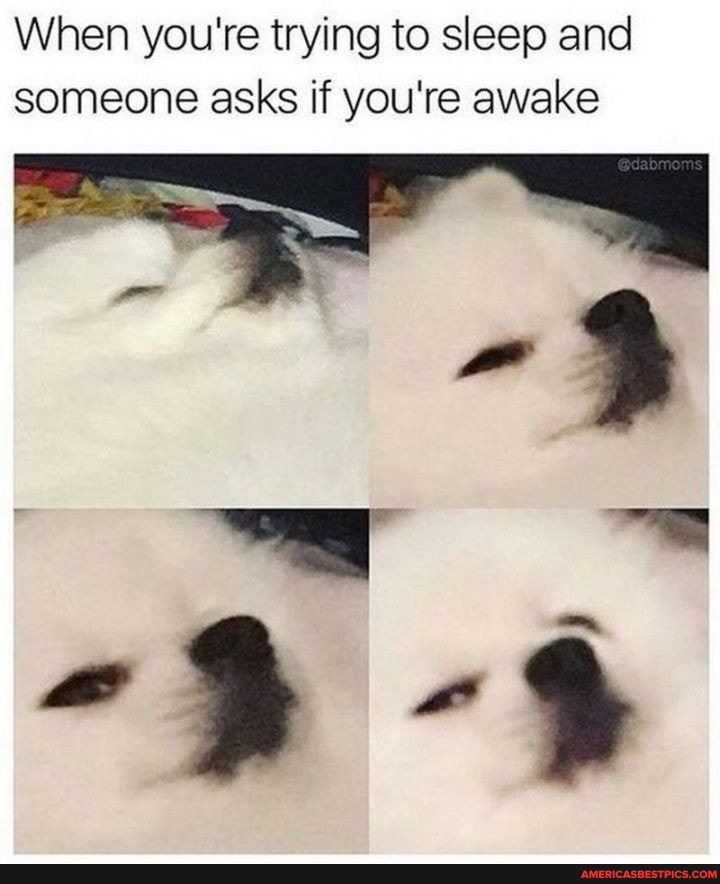 When you're trying to sleep and someone asks if you're awake