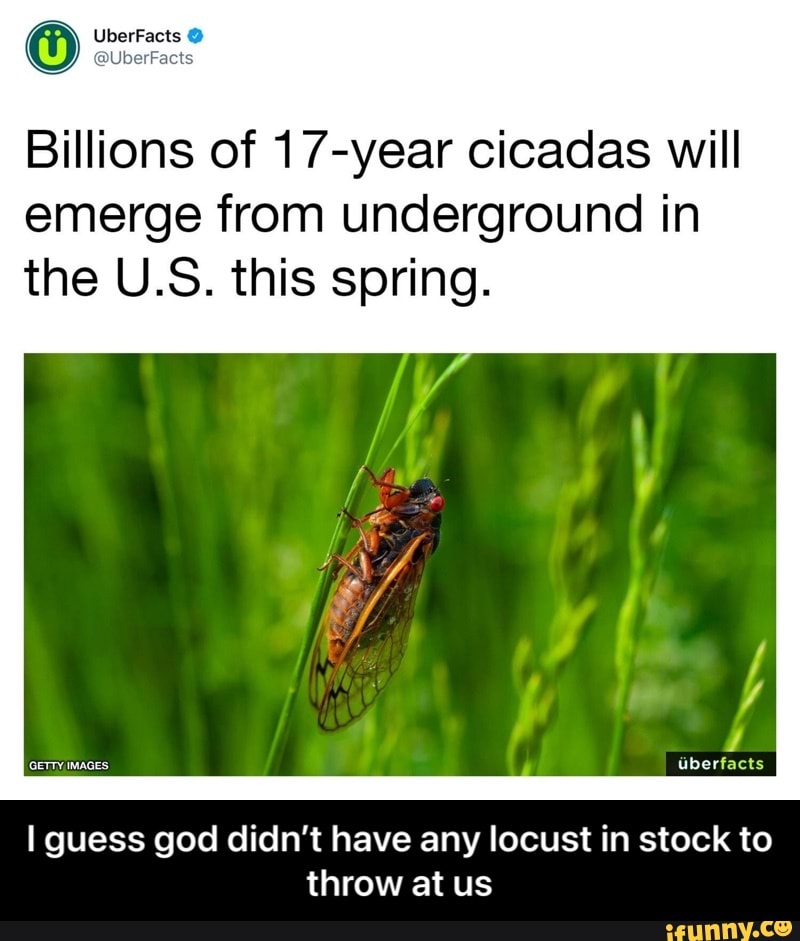 UberFacts UberFac
Billions of 17-year cicadas will emerge from underground in the U.S. this spring.
I guess god didn't have any locust in stock to throw at us - I guess god didn’t have any locust in stock to throw at us