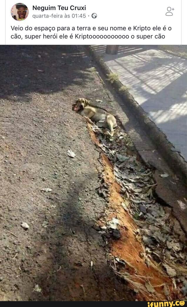 Veio do espaço para a terra e seu nome e Kripto ele é o
cão, super herói ele é Kriptooooo000000 o super cão