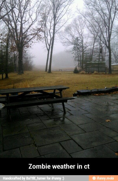 Zombie weather in ct - Zombie weather in ct