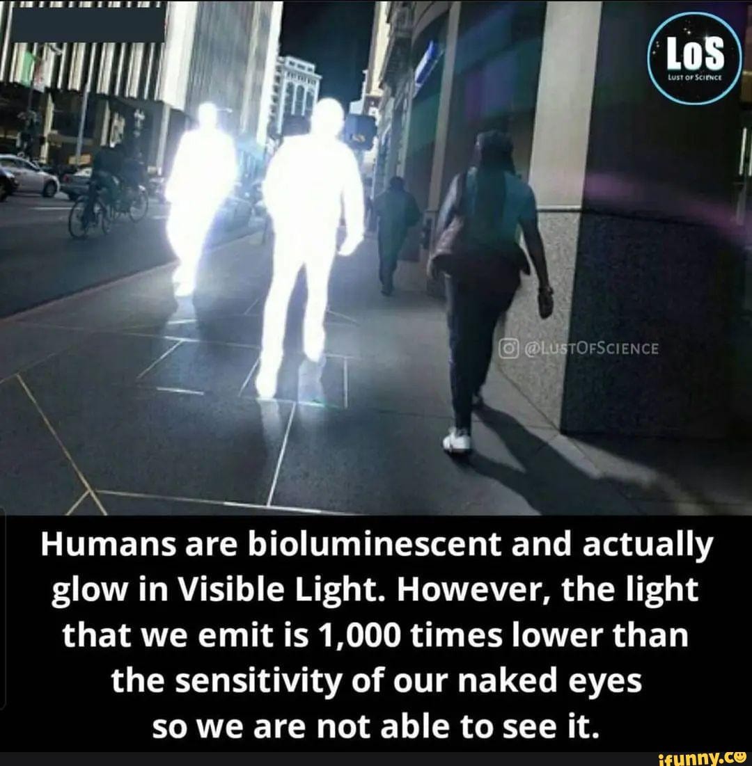 Los {TOFSCIENCE Humans are bioluminescent and actually glow in Visible ...