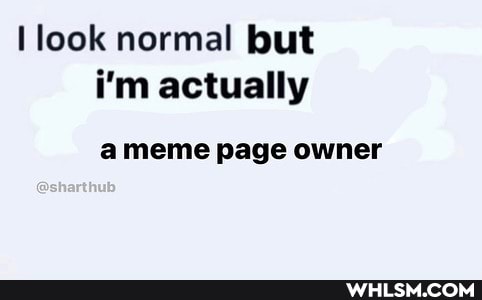 look normal but i'm actually
a meme page owner