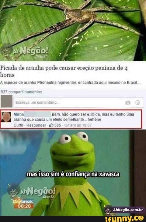 Br.
Picada de aranha pode causar ereção peniana de 4
espécie de atanha Phoneutria nigriventer, encontrada aqui mesmo no Brasil
quaro
horas
compartlhamentos
ima
mas isso sim é confiança na xavasca
AhNegão.com.br
Negao!