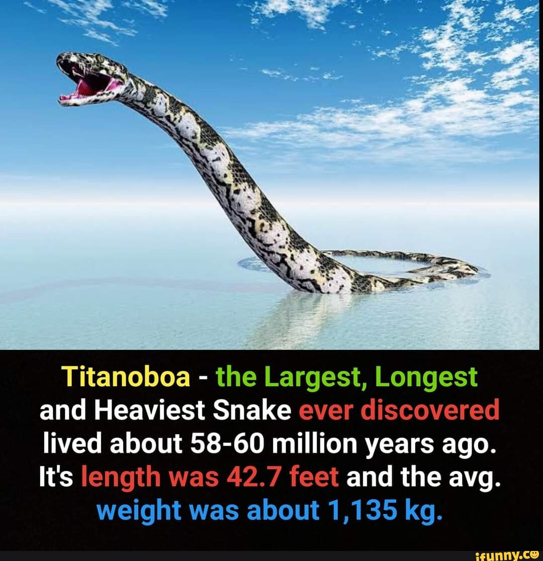 Titanoboa - The Largest, Longest And Heaviest Snake Ever Discovered ...