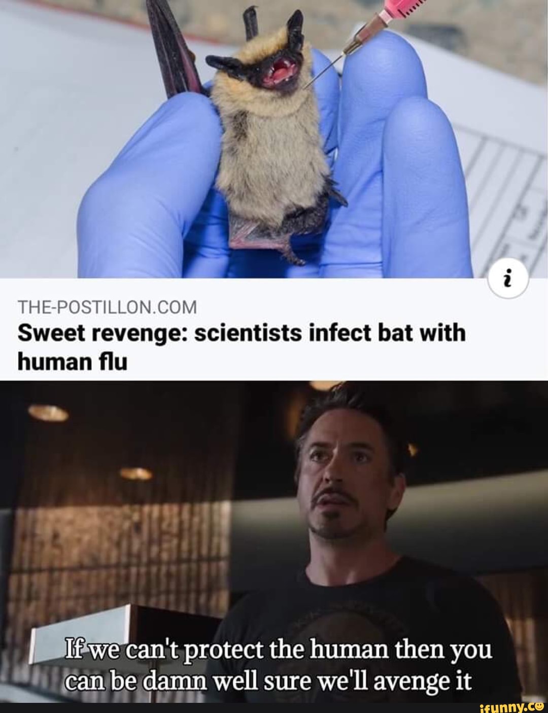 THE-POSTILLON.COM
Sweet revenge: scientists infect bat with
poe
can't protect the human then you
dh; (canbe damn well sure
we'll avenge it