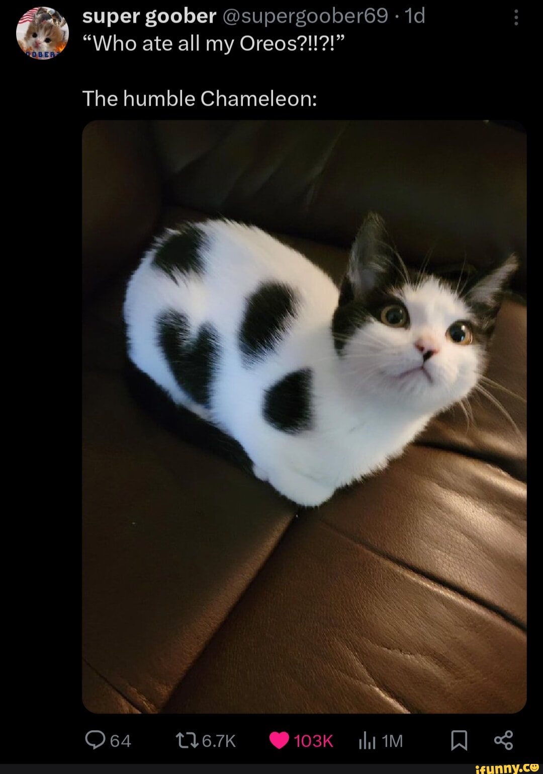 What rhymes with... iFunny