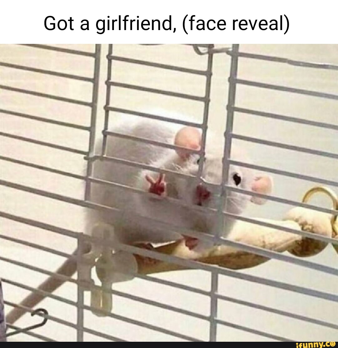 Ceeday’s breakthrough Girlfriend Face Reveal: A New Era in Relationship Virality