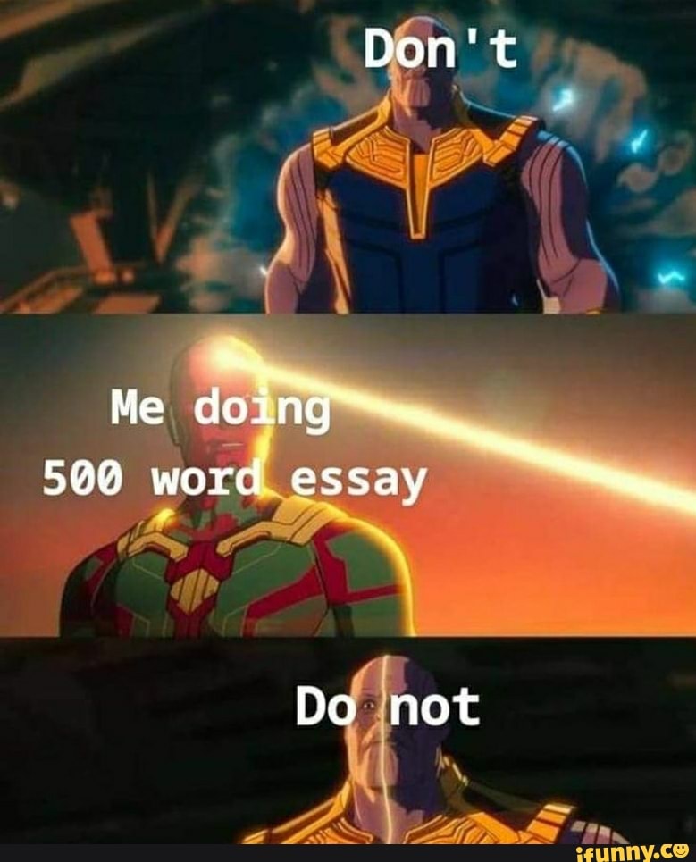 300 word essay meme image