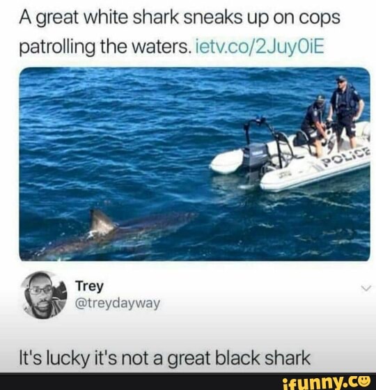 A great white shark sneaks up on cops patrolling the waters.
It's lucky it's not a great black shark