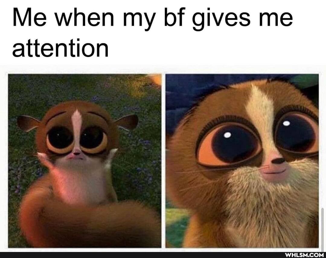 Me when my bf gives me
attention