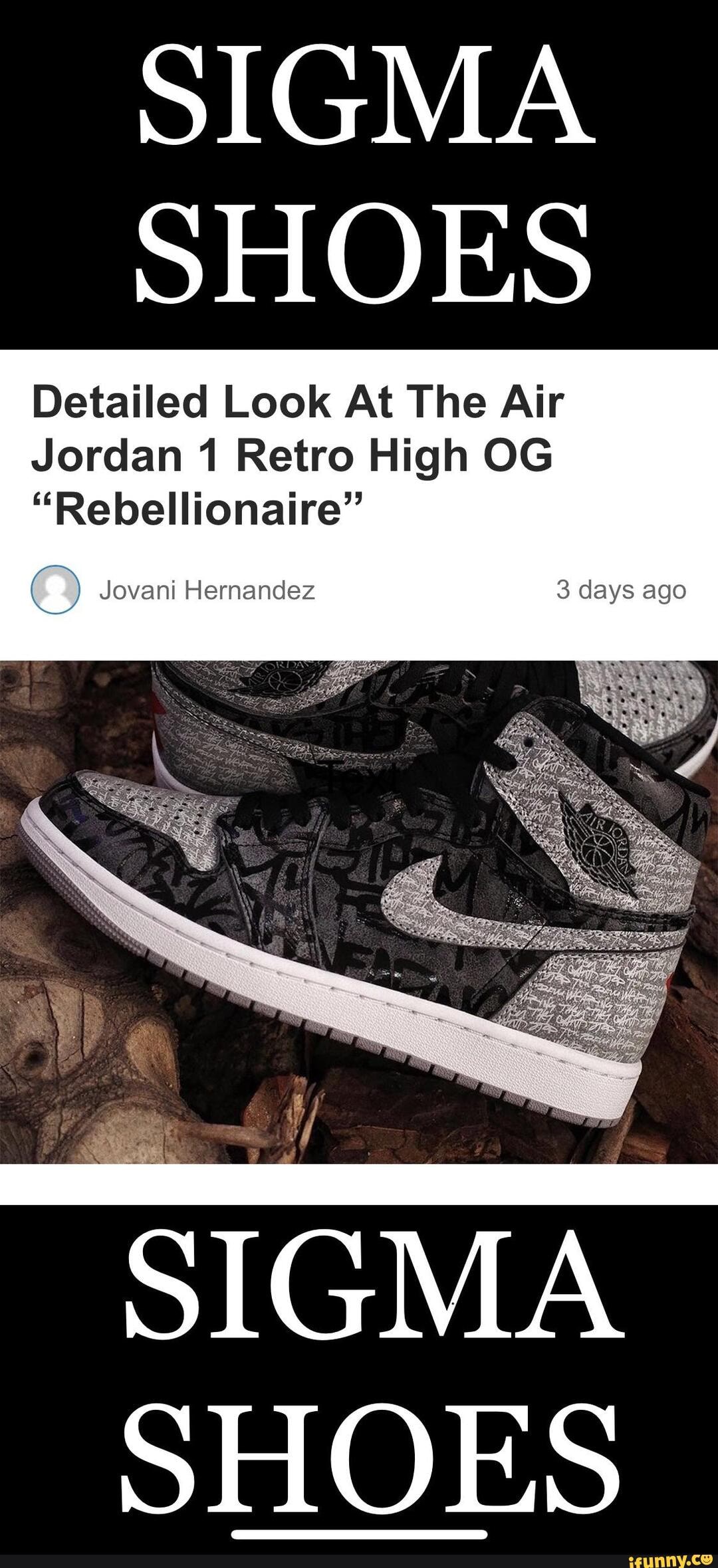 Camper comes at Michael Jordan's shoes with Internet meme - ESPN, image size:1080x2359