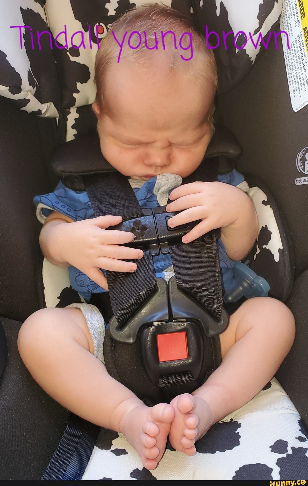 little, brother