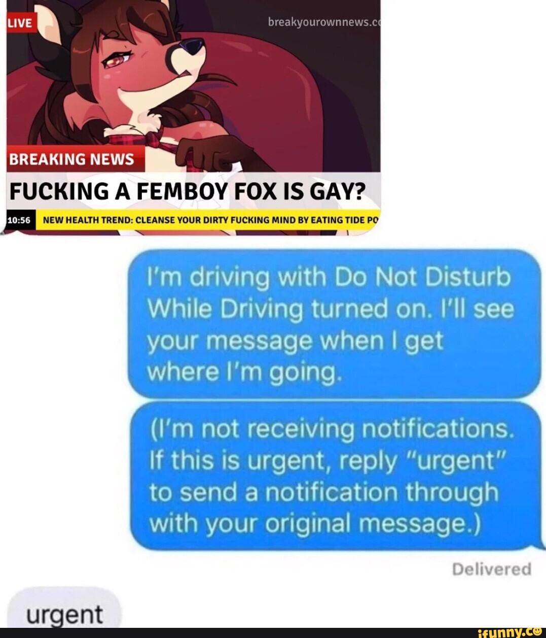 BREAKING NEWS LIVE breakyourownnews.c FUCKING A FEMBOY FOX IS GAY? I NEW  HEALTH TREND: CLEANSE