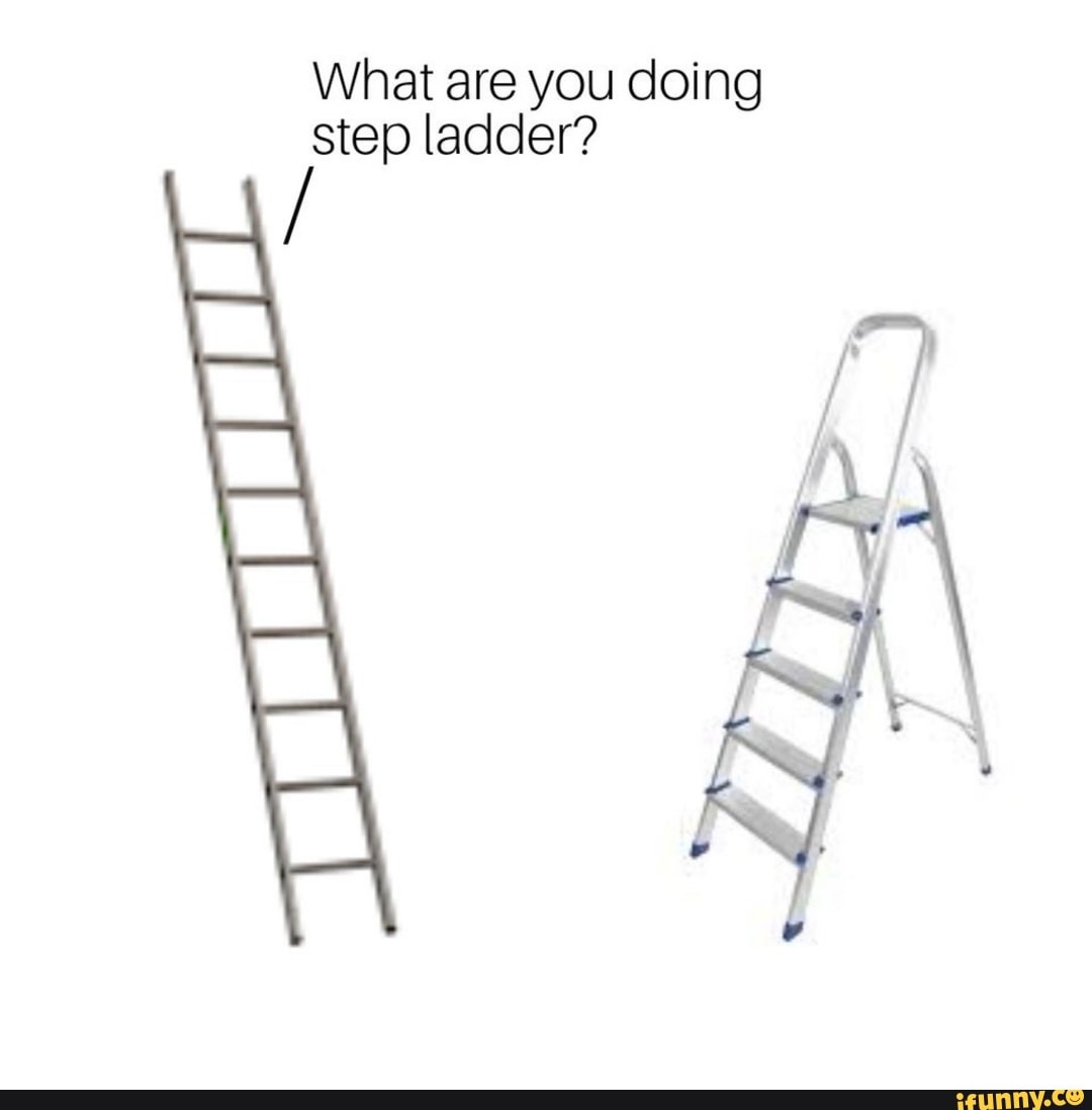 What Are You Doing Step Ladder Ifunny