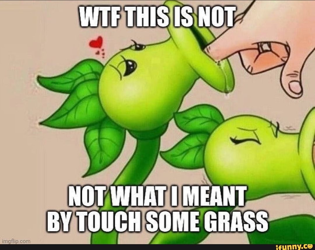 Touch some grass meaning