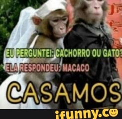 ESPONDEU! MACACO
ASAMOS