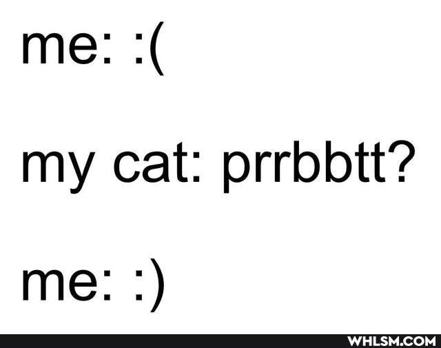 me: my cat: prrbbtt?
me: