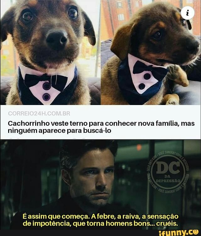 Cachorrinho veste terno para conhecer nova família, mas ninguém aparece para buscá-lo
É assim que começa. febre, a raiva, a sensação de impotência, que torna homens bons... cruéis.
