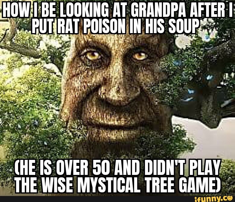 the wise mystical tree is a what?.. : r/memes