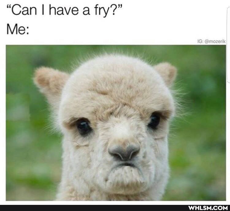 "Can I have a fry?"
Me: