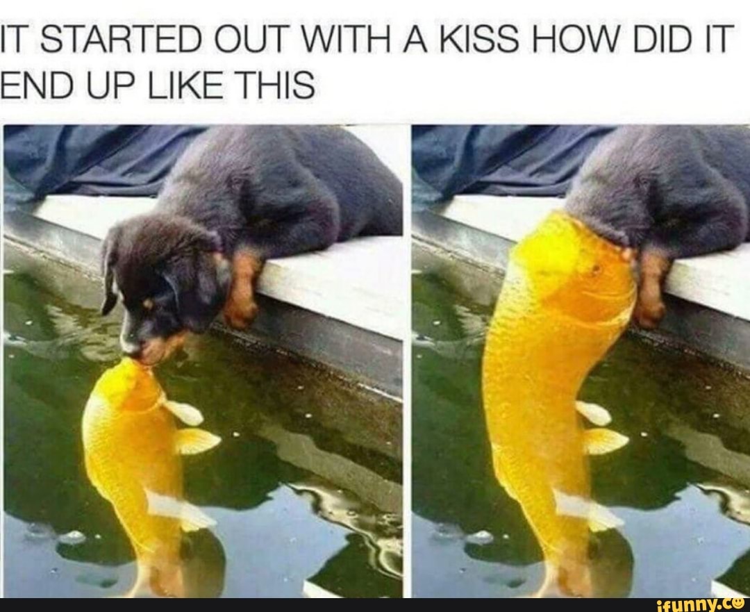 It Started Out With A Kiss