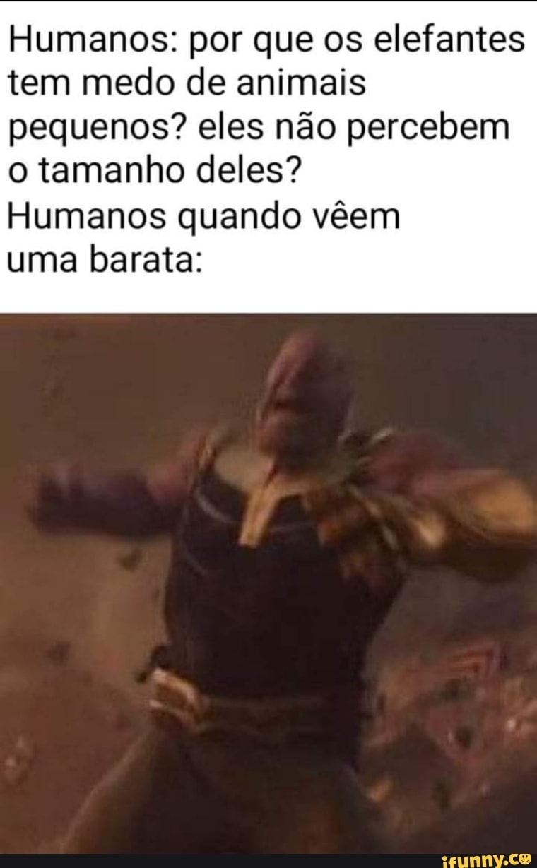 Humanos: por que os elefantes
tem medo de animais
pequenos? eles não percebem
o tamanho deles?
Humanos quando vêem
uma barata: