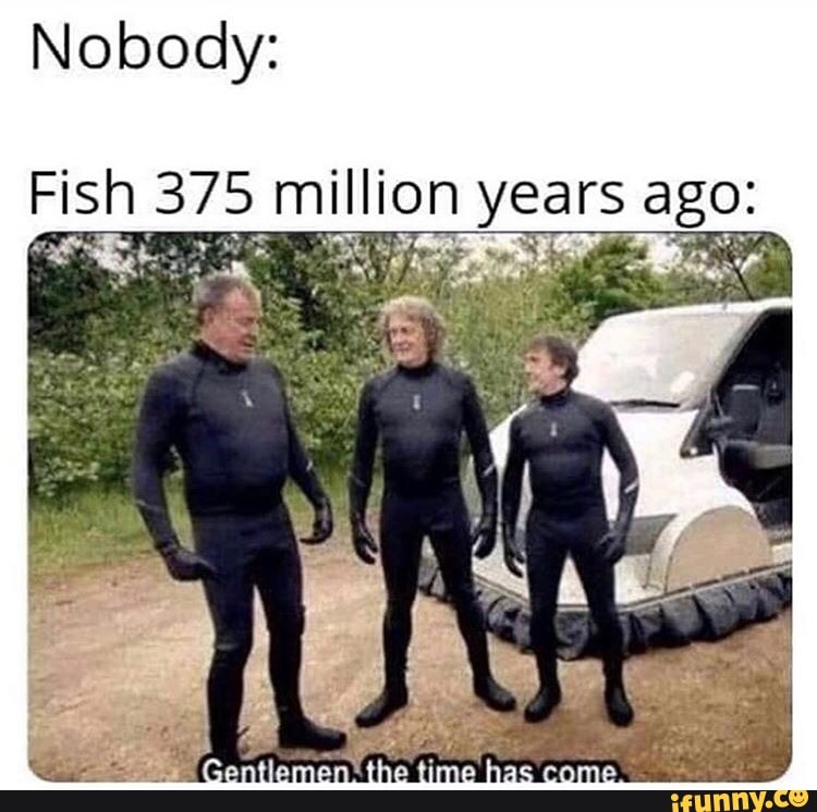 Nobody:
Fish 375 million pes ago: