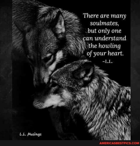 I There are many soulmates, but only one
an understand
'the howling of your heart.
LL, Musings