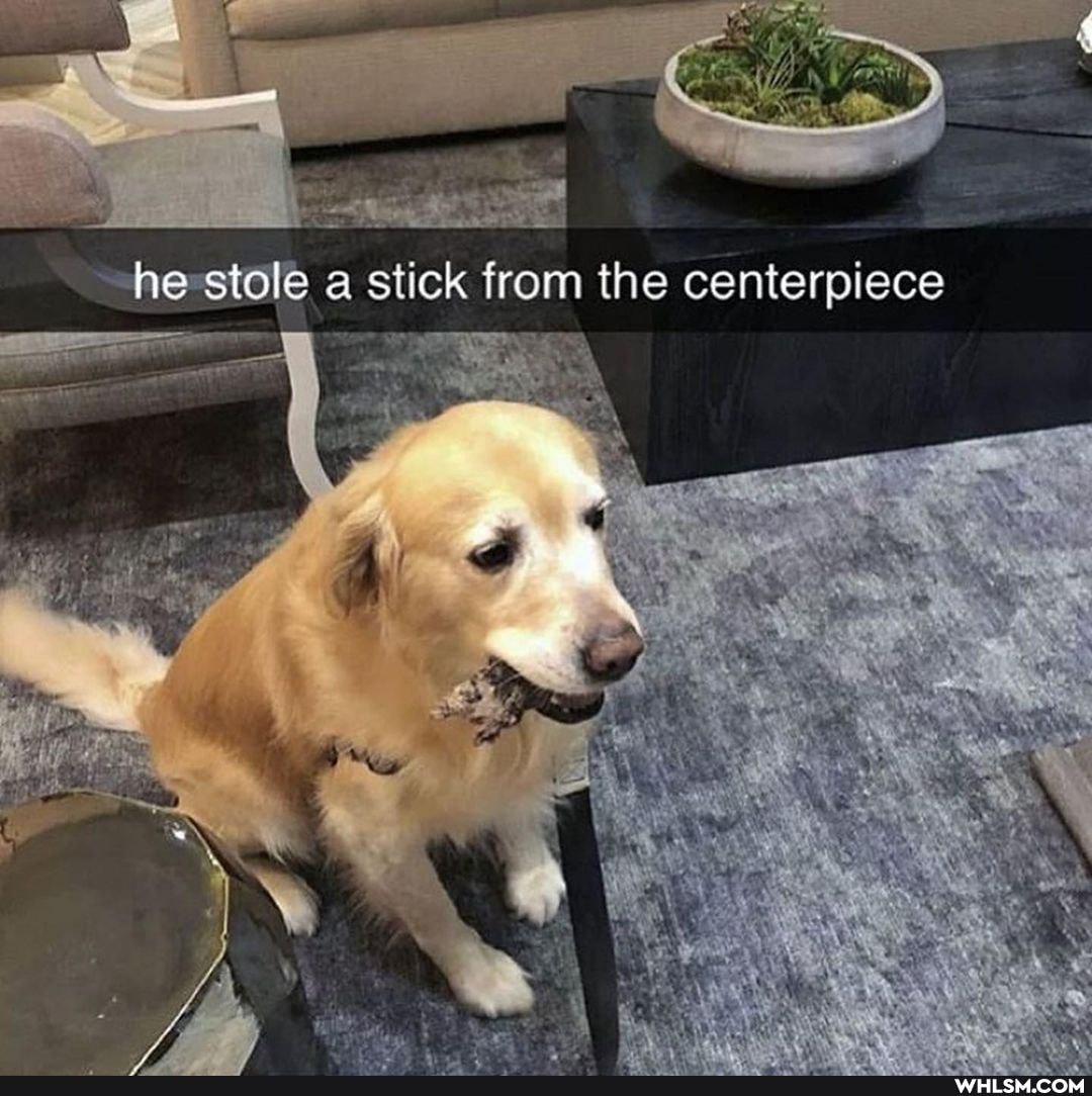 he stole a stick from the centerpiece