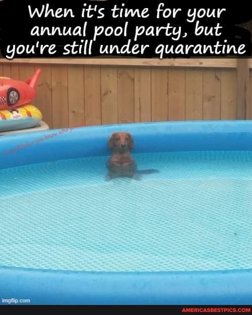 When it's time for your annual pool party, but you're still under quarantine
re) I