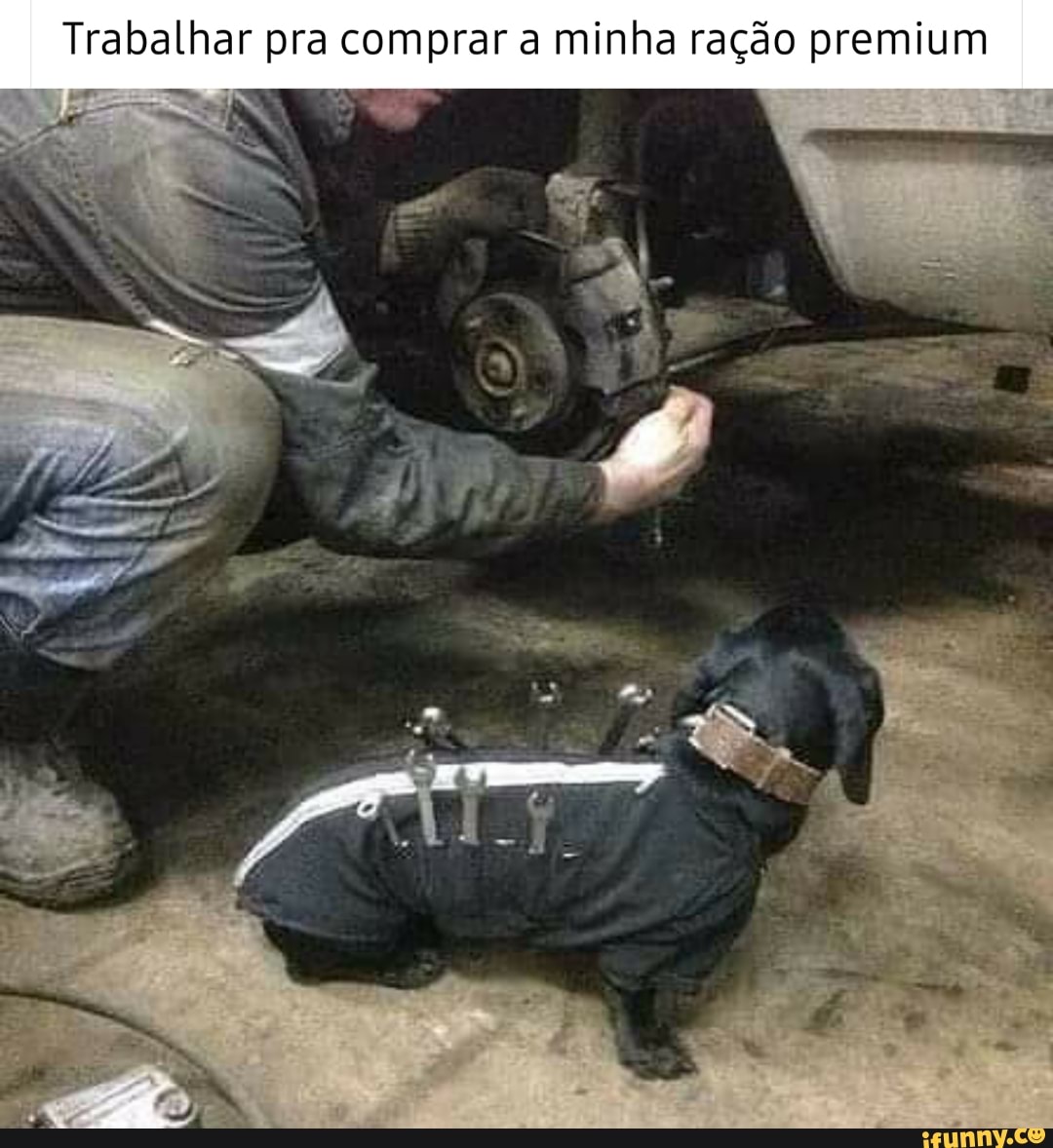 Trabalhar pra comprar a minha ração premium