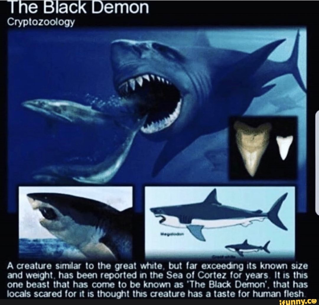 Чёрный демон акула сравнение с МЕГАЛОДОНОМ