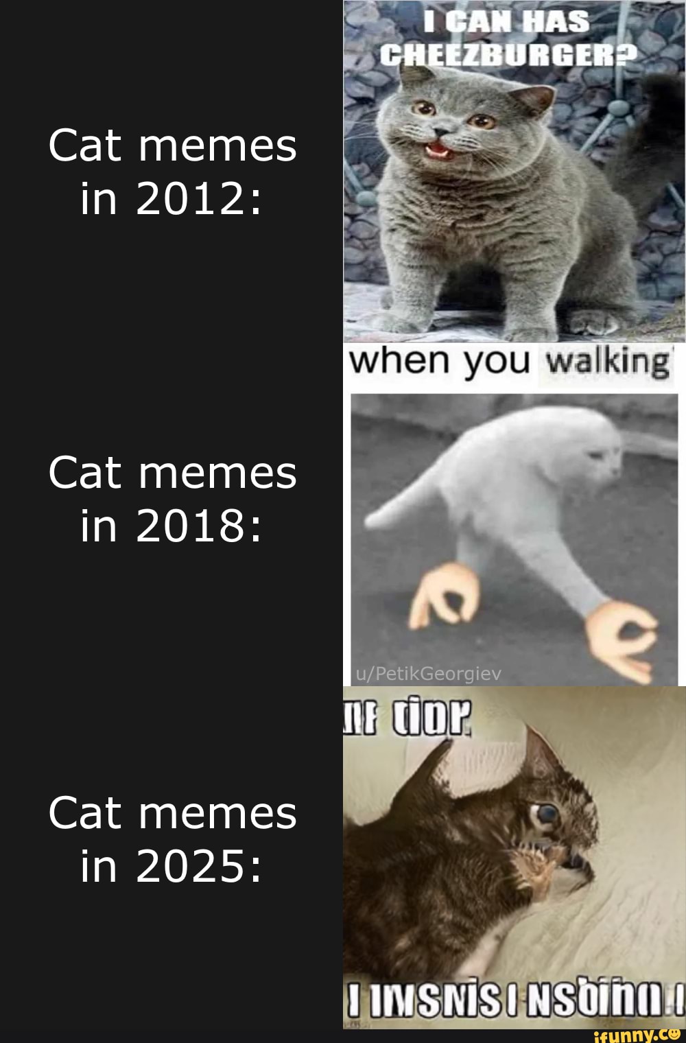 Cat memes in 2012 Cat memes in 2018 Cat memes in 2025 iFunny