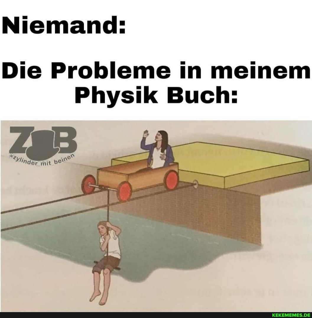 Niemand:
Die Probleme in meinem
Physik Buch: