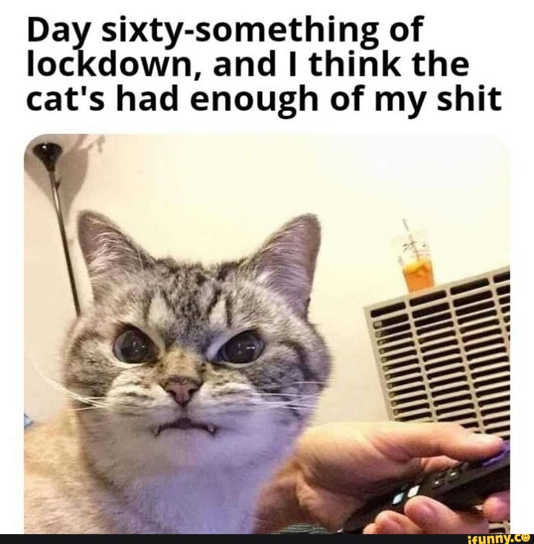 and I think the
sixty-something of
s had enough of my shi
cat'
