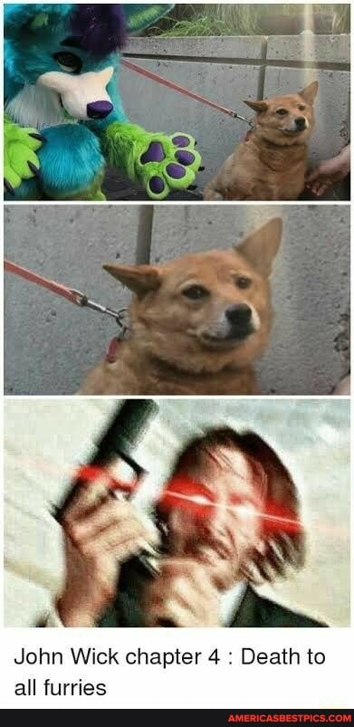 John Wick chapter 4 Death to all furries