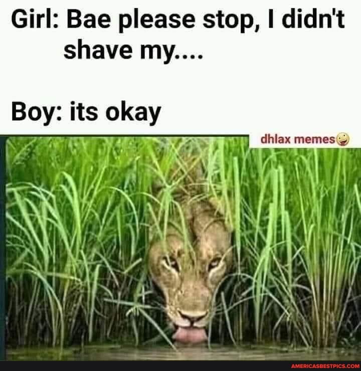 Girl: Bae please stop, I didn't shave my....
memes
Boy: its okay