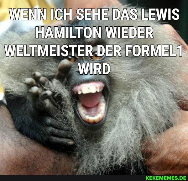 WENN ICH SEHE DAS LEWIS LAMILTON WIEDER WELTMEISTER DER FORMEL1
WIRD