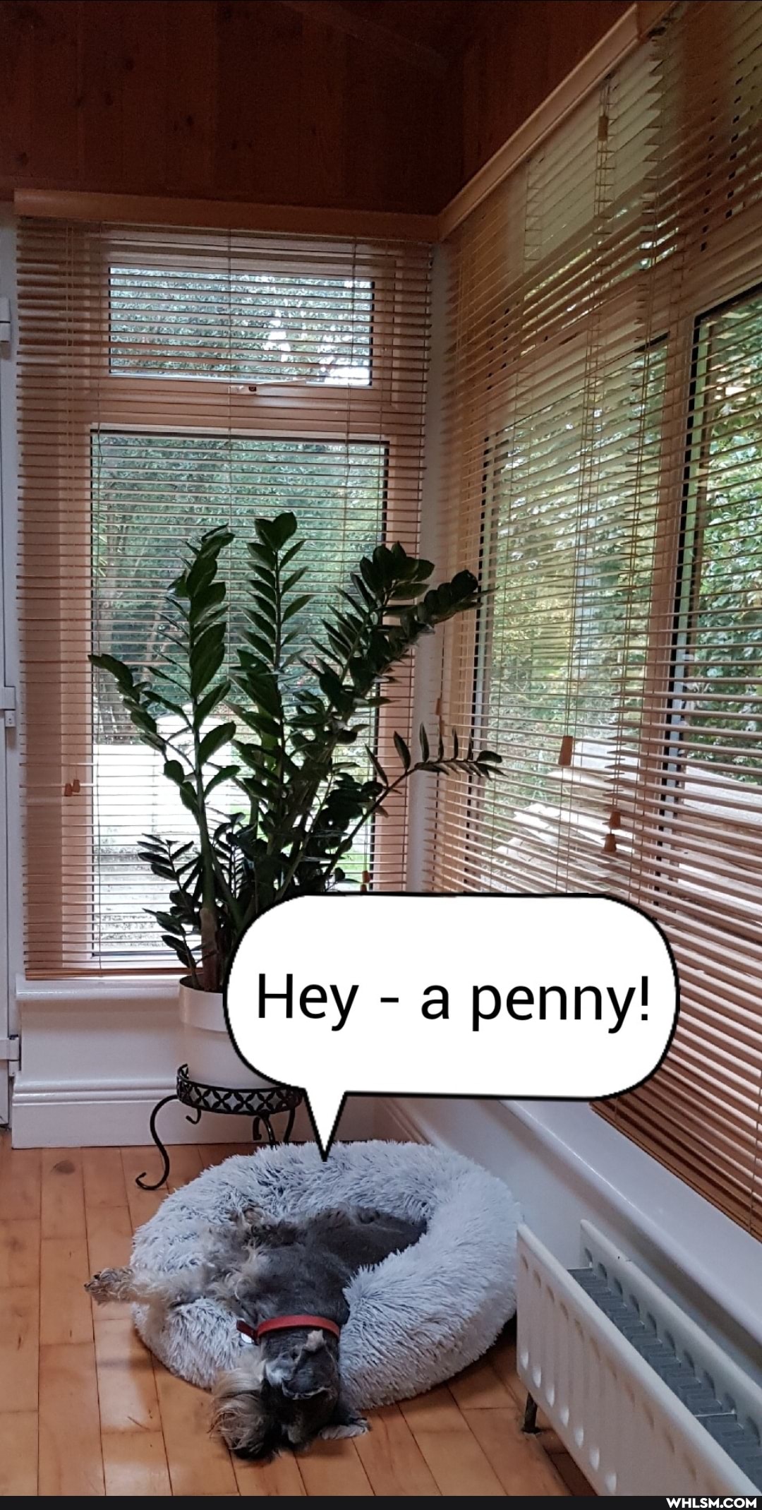 a penn
of
Hey
Se