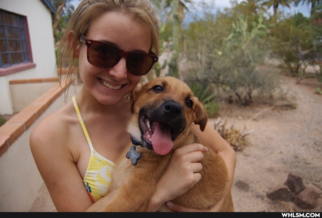 informative, help_me_imgur, advice_animals, dogs_are_the_best_people