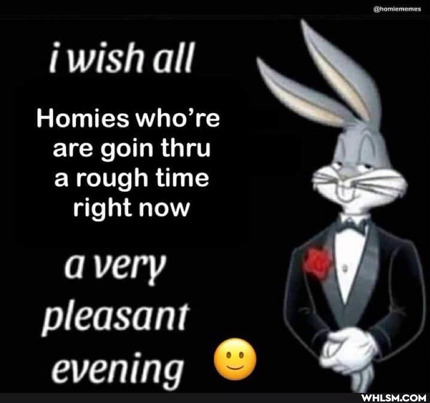 @homiememes
wish
Homies who're are goin thru a rough time
right now
avery
pleasant
evening @