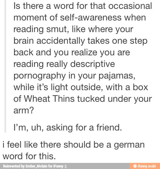 Is there a word for that occasional
moment of self-awareness when
reading smut, like where your
brain accidentally takes one step
back and you realize you are
reading really descriptive
pornography in your pajamas,
while it's light outside, with a box
of Wheat Thins tucked under your
arm?
I'm, uh, asking for a friend.
i feel like there should be a german
word for this.