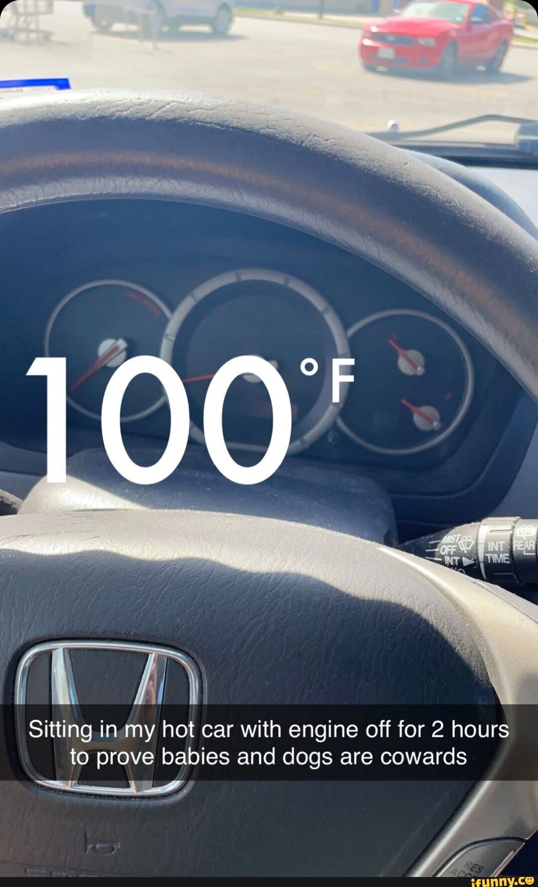 LOO' Sitting in my hot car with engine off for 2 hours to prove babies and dogs are cowards iFunny
