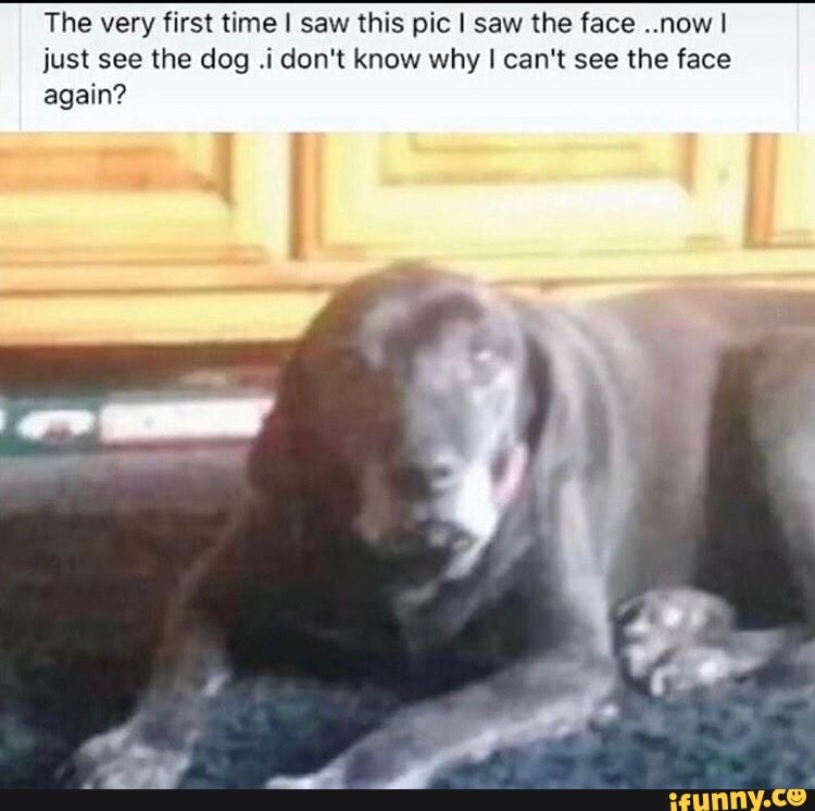 The very first time saw this pic I saw the face ..now I just see the dog .i don't know why I can't see the face again?