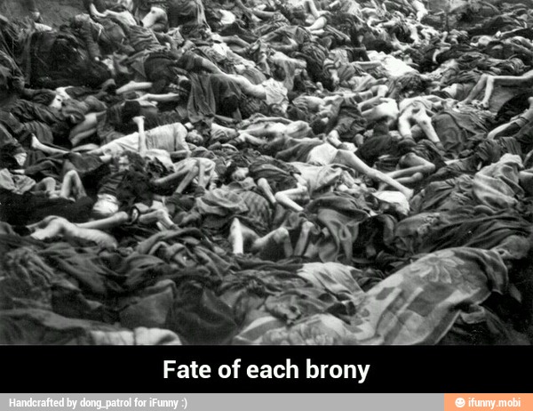 Fate of each brony - Fate of each brony