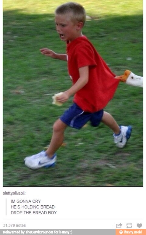 sluttyoliveoil
IM GONNA CRY
HE'S HOLDING BREAD
DROP THE BREAD BOY