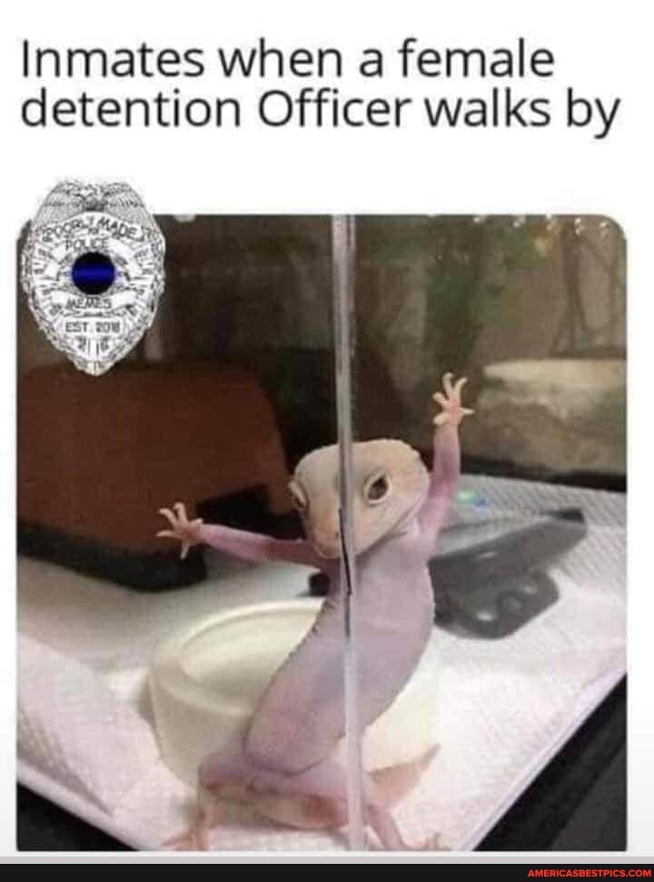 Inmates when a female detention Officer walks by