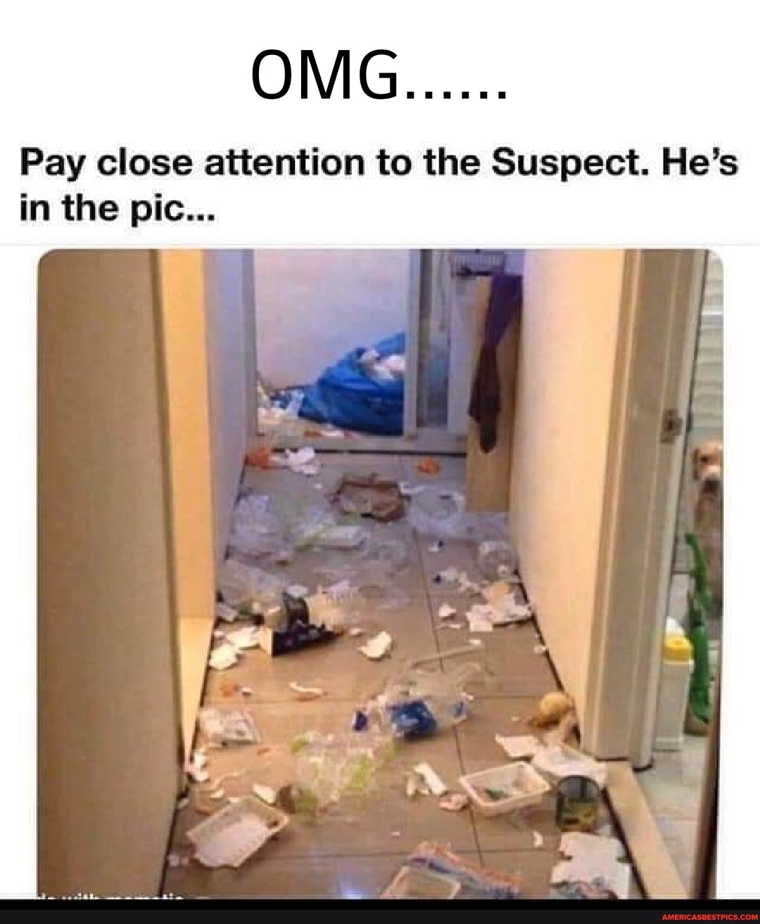 OMG......
Pay close attention to the Suspect. He's in the pic...