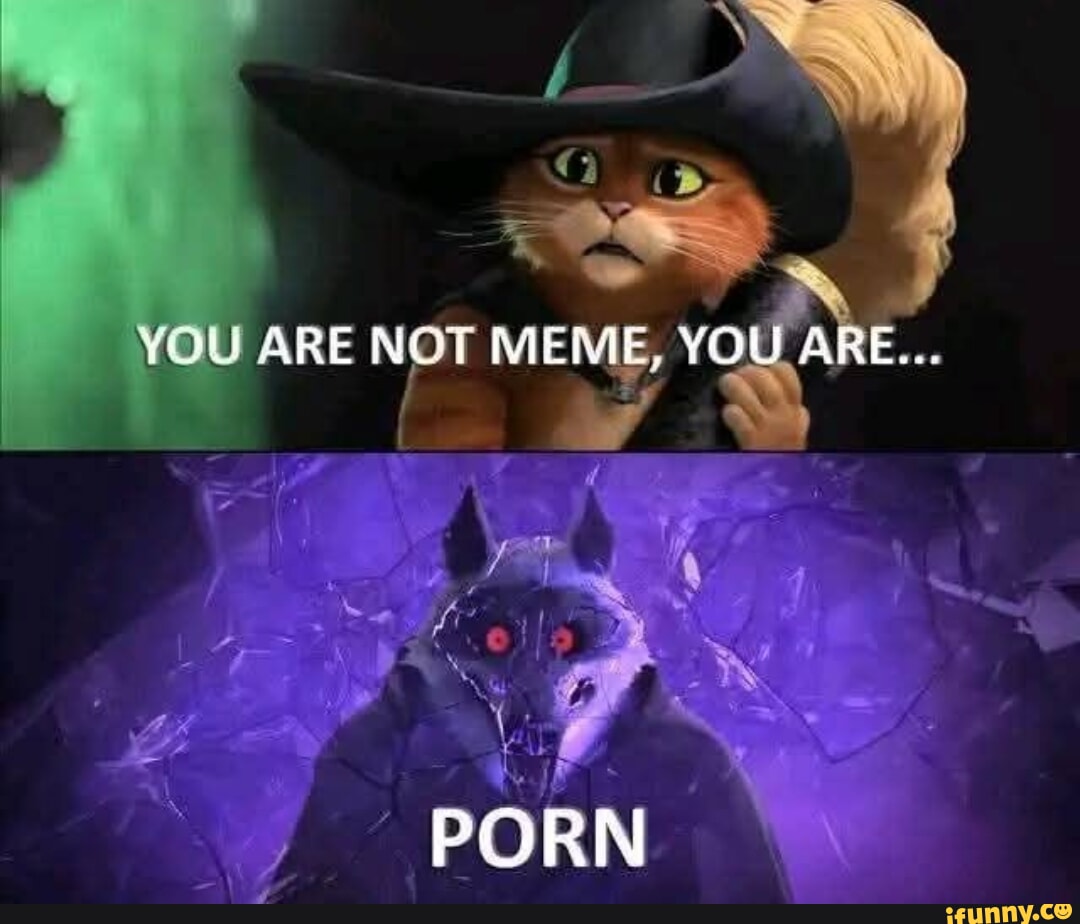 ARE NOT MEME, YOU ARE. PORN - iFunny